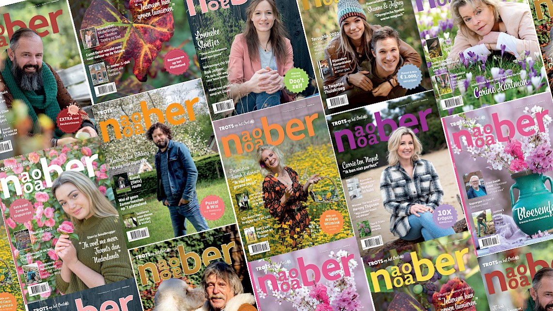 compilatie covers Naober