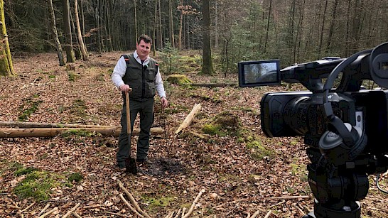 ROEG , door het bos de bomen weer zien