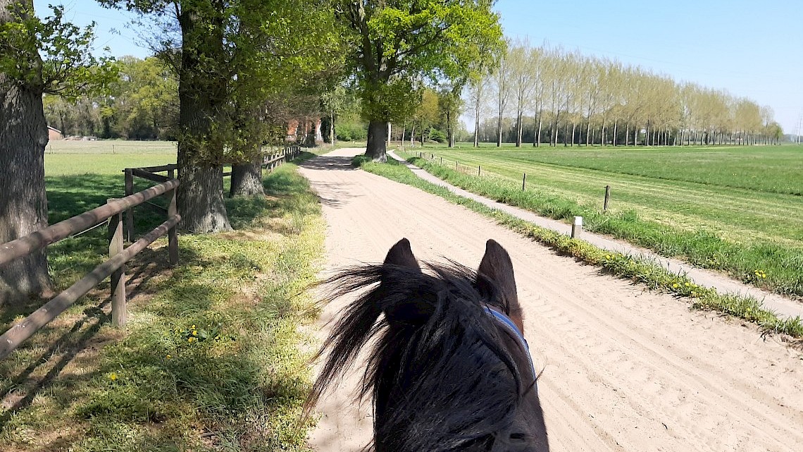 Te paard door de Achterhoek