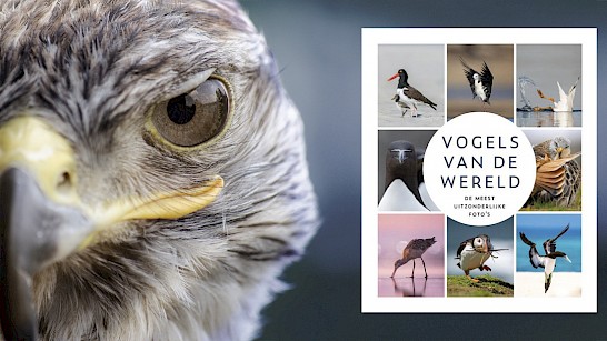 Vogels van de wereld