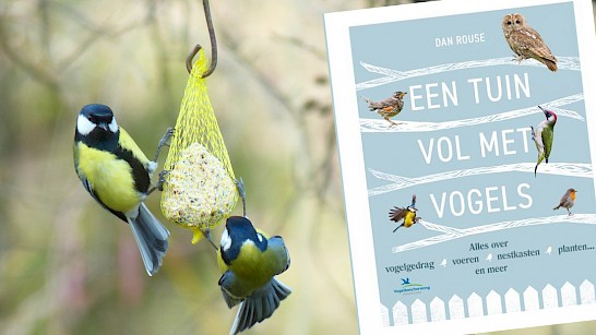 Een tuin vol met vogels