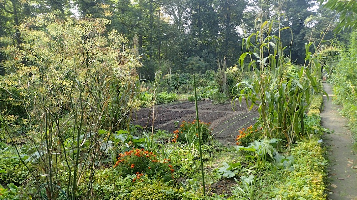 Leve de bodem! - Een gezonde basis voor elke tuin