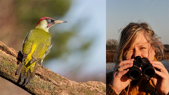 Vogels kiek'n met Mirjam Enzerink