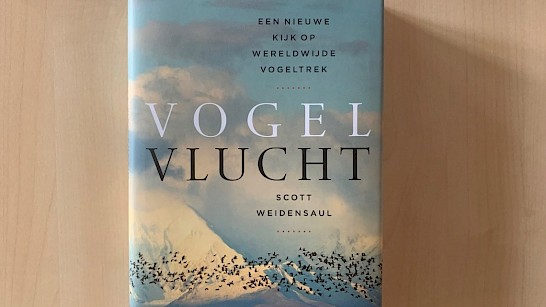 Vogelvlucht