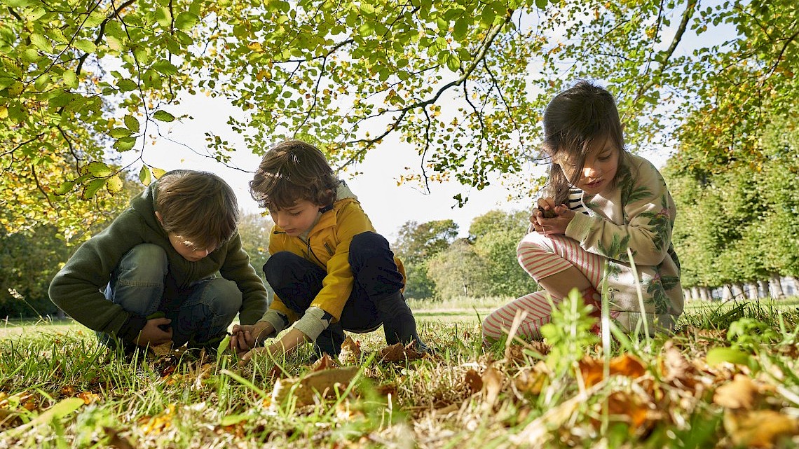 Ontdek de herfst in Drenthe