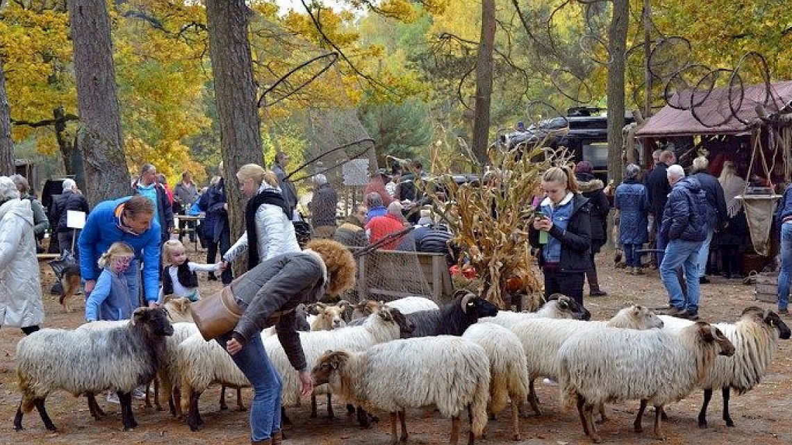 Landgoed Twente Fair 2023 exposanten